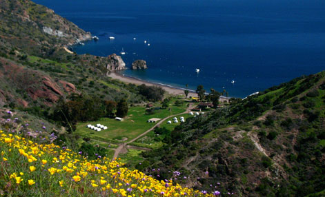 Catalina Island - White's Landing